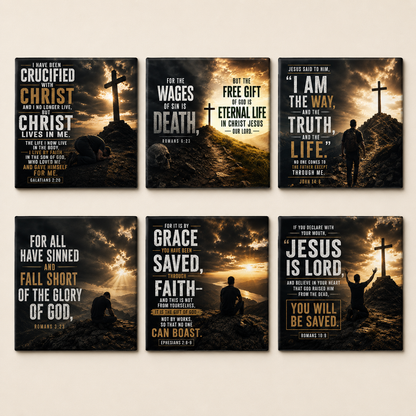 Salvation - 6 Pack